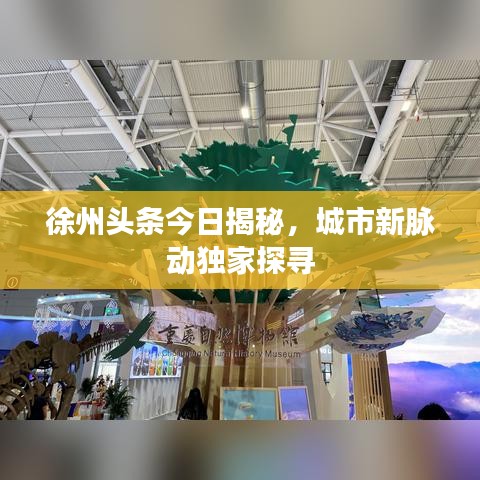 徐州头条今日揭秘，城市新脉动独家探寻
