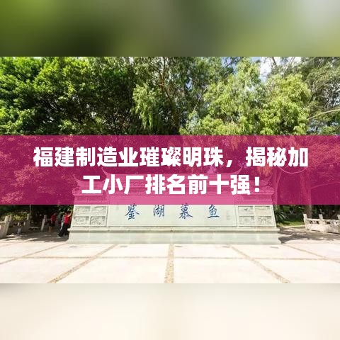 福建制造业璀璨明珠，揭秘加工小厂排名前十强！