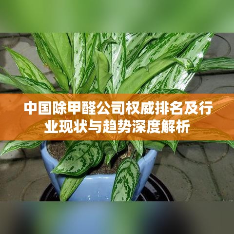 2025年5月23日 第2页