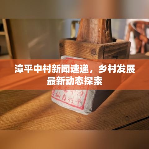 漳平中村新闻速递，乡村发展最新动态探索