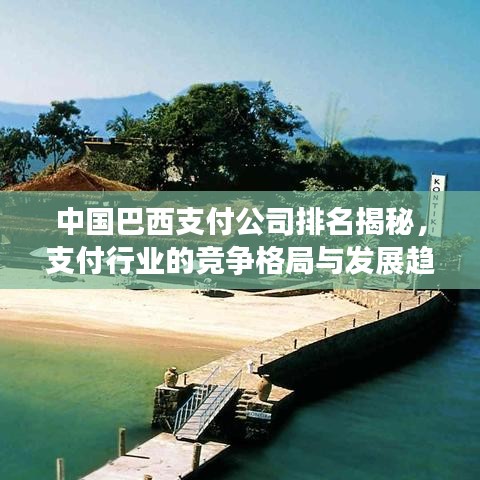 中国巴西支付公司排名揭秘，支付行业的竞争格局与发展趋势探讨