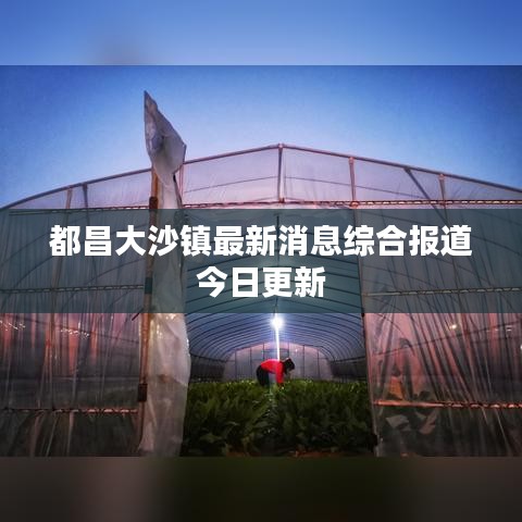 都昌大沙镇最新消息综合报道今日更新