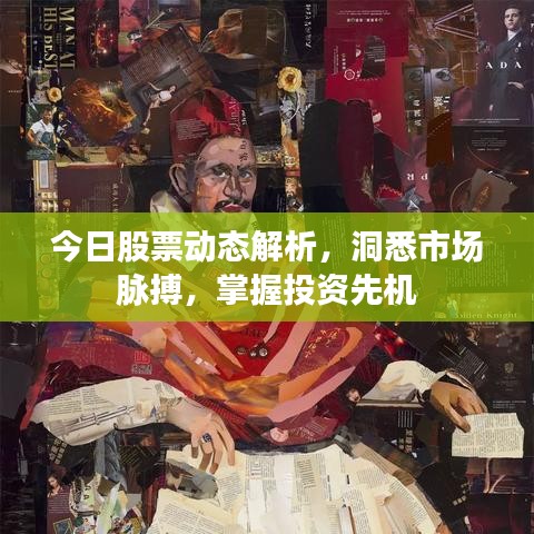 今日股票动态解析，洞悉市场脉搏，掌握投资先机
