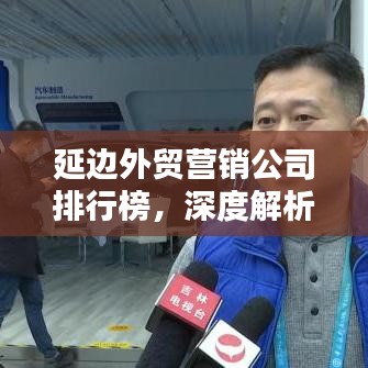 延边外贸营销公司排行榜，深度解析与综合评估报告
