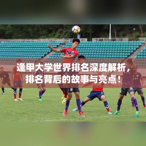 2025年5月27日 第13页