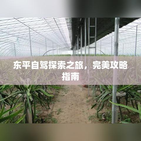东平自驾探索之旅，完美攻略指南