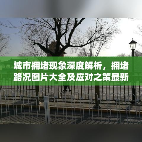 城市拥堵现象深度解析，拥堵路况图片大全及应对之策最新探讨