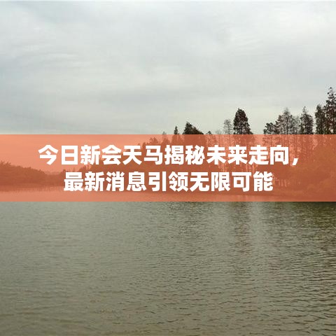今日新会天马揭秘未来走向，最新消息引领无限可能
