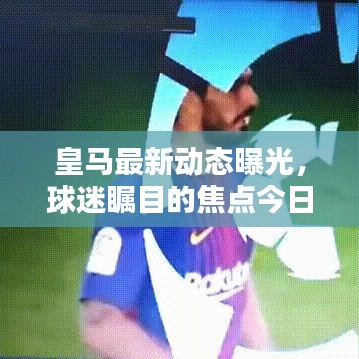 2025年5月27日 第4页