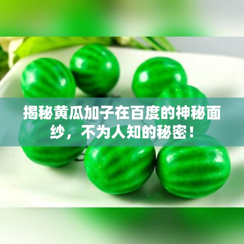 揭秘黄瓜加子在百度的神秘面纱，不为人知的秘密！