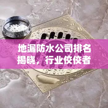 地漏防水公司排名揭晓，行业佼佼者深度解析