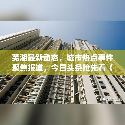 2025年5月29日 第48页