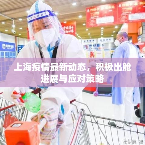 上海疫情最新动态，积极出舱进展与应对策略
