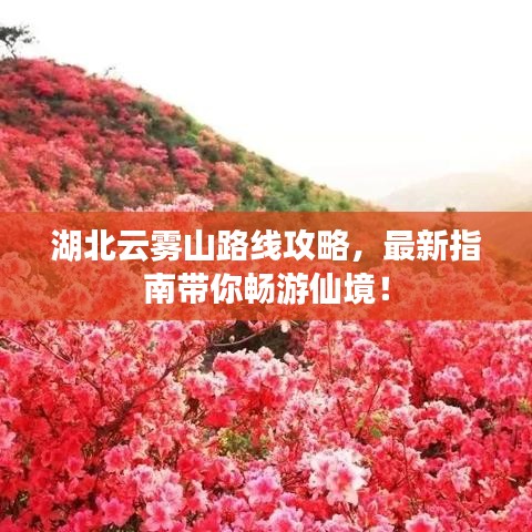 湖北云雾山路线攻略，最新指南带你畅游仙境！
