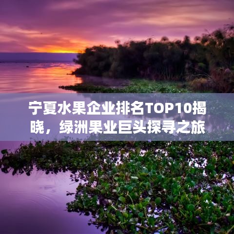 宁夏水果企业排名TOP10揭晓，绿洲果业巨头探寻之旅