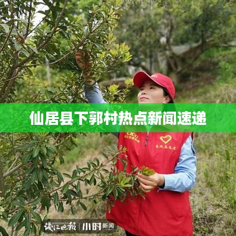 仙居县下郭村热点新闻速递