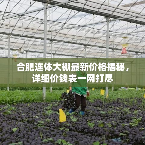 合肥连体大棚最新价格揭秘，详细价钱表一网打尽