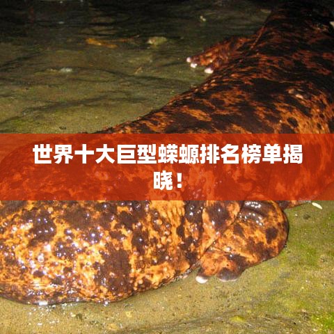 世界十大巨型蝾螈排名榜单揭晓！