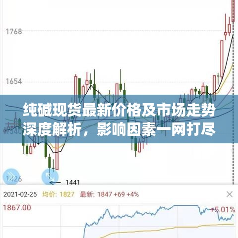 纯碱现货最新价格及市场走势深度解析，影响因素一网打尽！