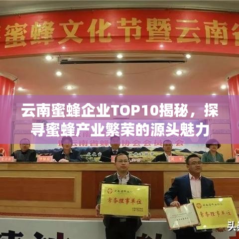 云南蜜蜂企业TOP10揭秘，探寻蜜蜂产业繁荣的源头魅力