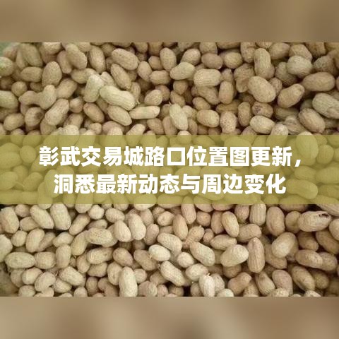 彰武交易城路口位置图更新，洞悉最新动态与周边变化