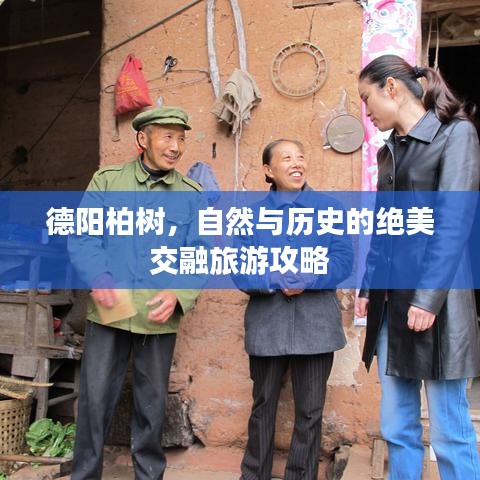 德阳柏树，自然与历史的绝美交融旅游攻略