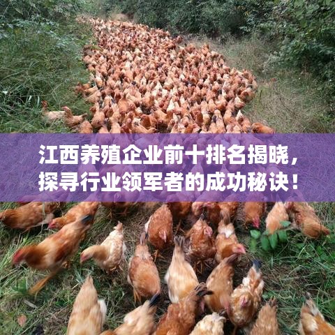 江西养殖企业前十排名揭晓，探寻行业领军者的成功秘诀！