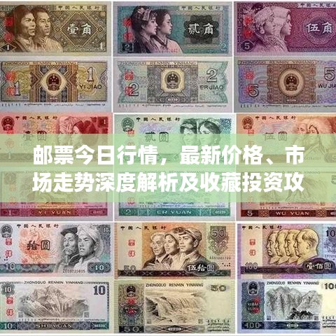 邮票今日行情，最新价格、市场走势深度解析及收藏投资攻略