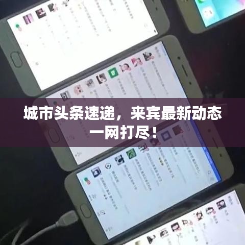 城市头条速递，来宾最新动态一网打尽！
