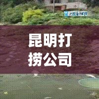 昆明打捞公司排名揭晓，行业影响力深度解析