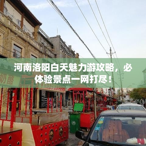 河南洛阳白天魅力游攻略，必体验景点一网打尽！