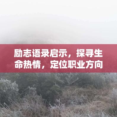 励志语录启示，探寻生命热情，定位职业方向