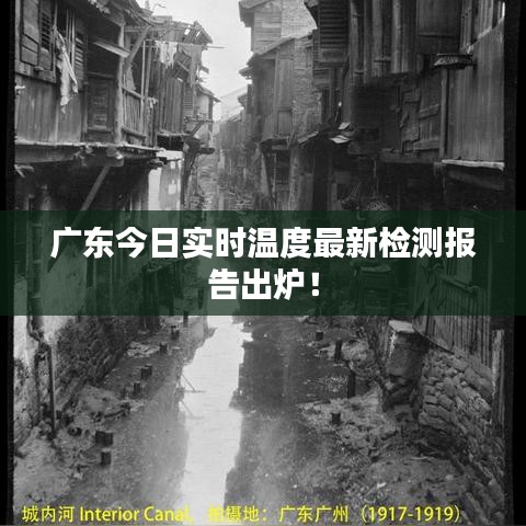 2025年6月2日 第33页