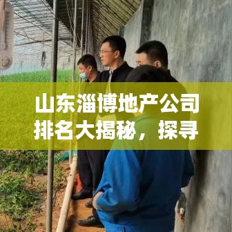 山东淄博地产公司排名大揭秘，探寻行业领军者的力量，引领市场风向标！