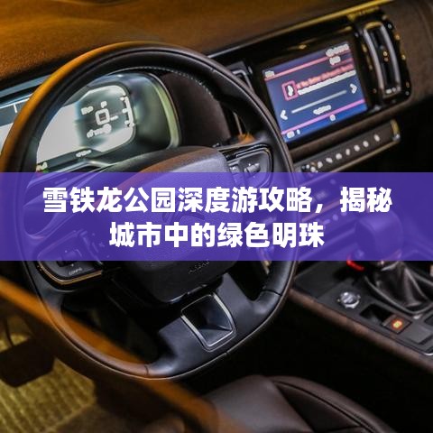 雪铁龙公园深度游攻略，揭秘城市中的绿色明珠