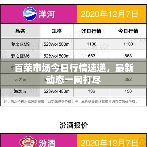 百荣市场今日行情速递，最新动态一网打尽