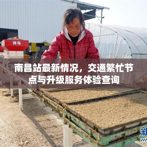南昌站最新情况，交通繁忙节点与升级服务体验查询