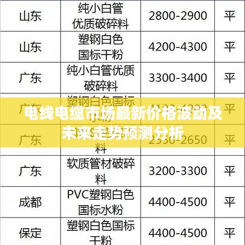 2025年6月3日 第24页