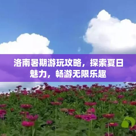 洛南暑期游玩攻略，探索夏日魅力，畅游无限乐趣