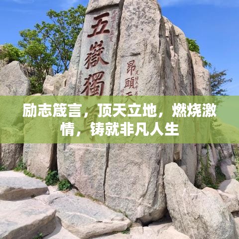 2025年6月3日 第2页