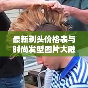 最新剃头价格表与时尚发型图片大融合，打造个性魅力发型！