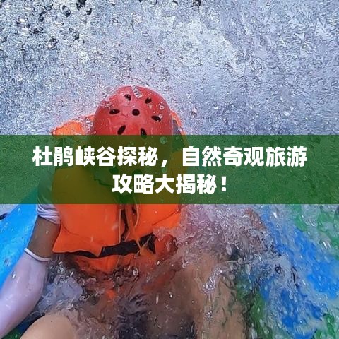 2025年6月4日 第13页