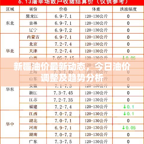 新疆油价最新动态，今日油价调整及趋势分析