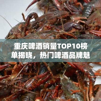 2025年6月5日 第31页