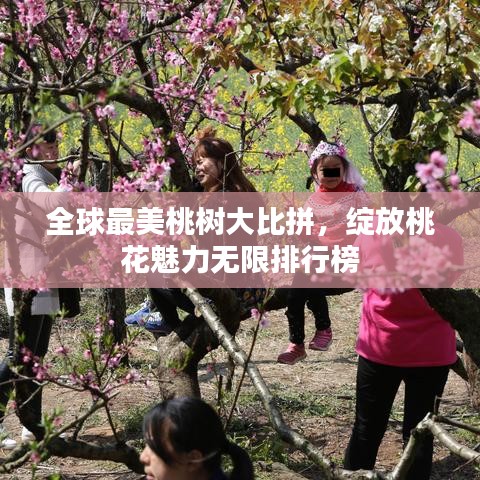 2025年6月5日 第26页