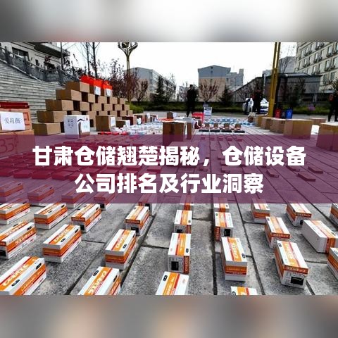 甘肃仓储翘楚揭秘，仓储设备公司排名及行业洞察