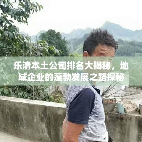 乐清本土公司排名大揭秘，地域企业的蓬勃发展之路探秘
