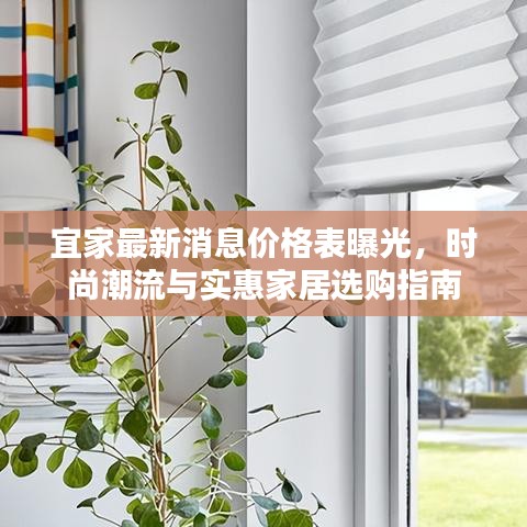 2025年6月5日 第2页