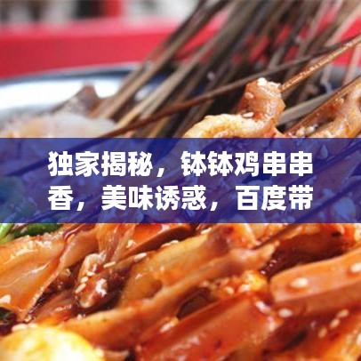 独家揭秘，钵钵鸡串串香，美味诱惑，百度带你探寻！