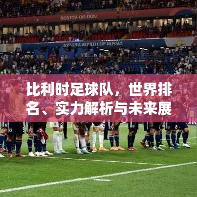 比利时足球队，世界排名、实力解析与未来展望探究